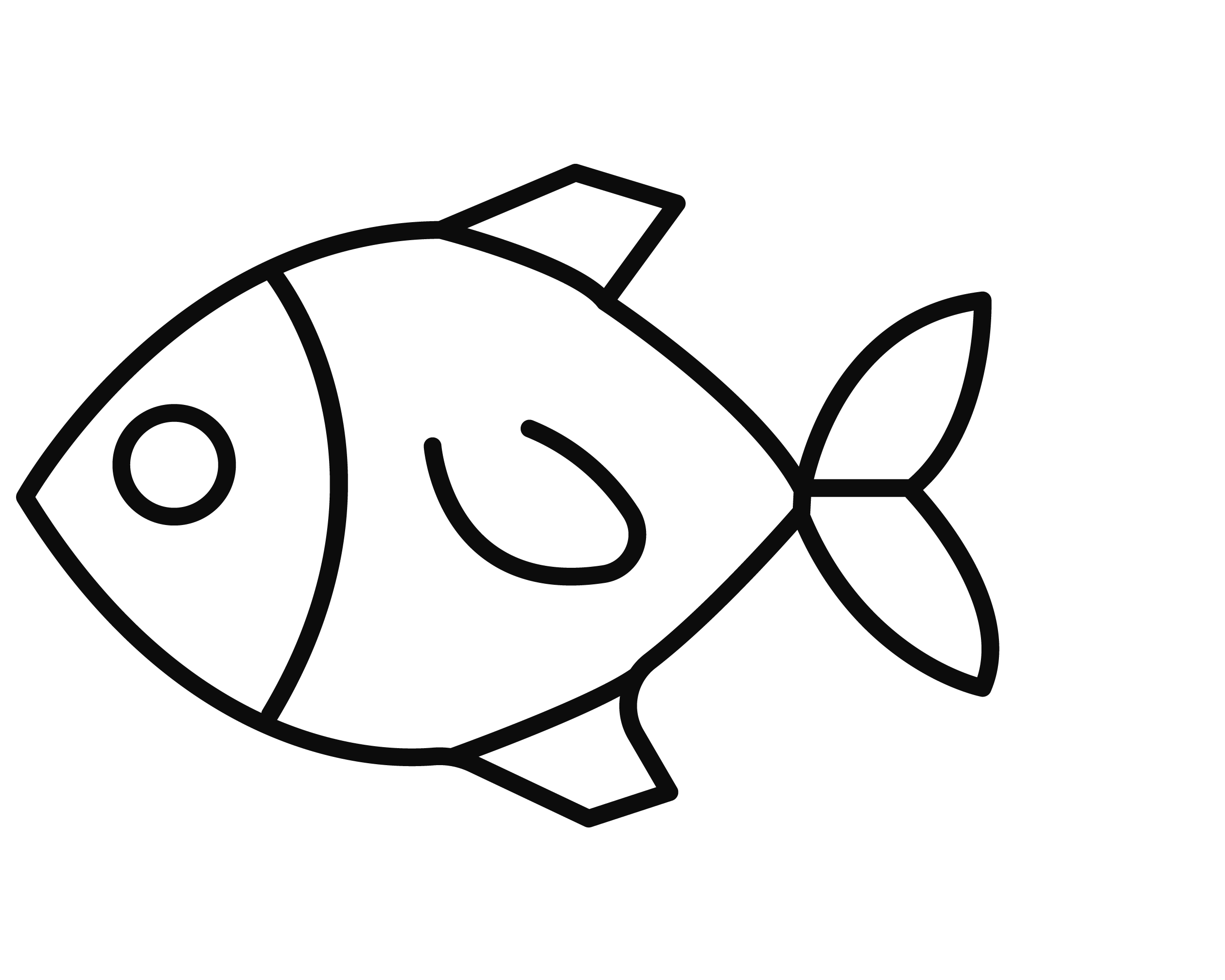fish-icon-tinified.webp